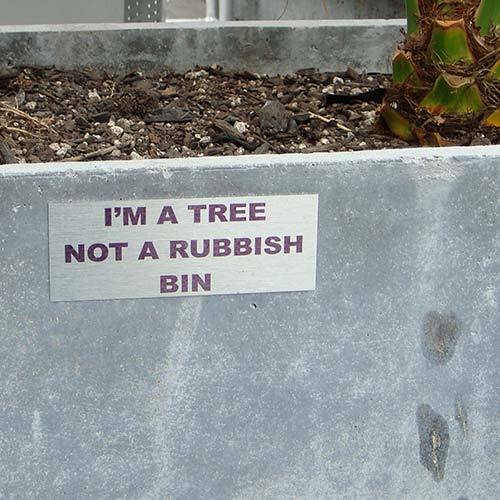 I am a tree sign in Auckland CBD photographed by Angle Limited